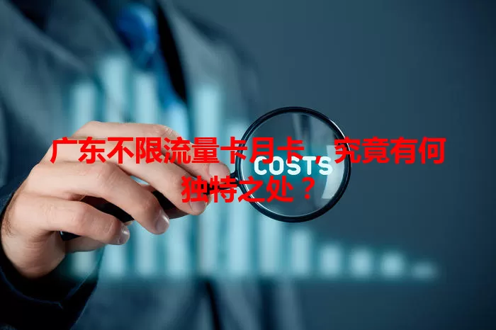 广东不限流量卡月卡，究竟有何独特之处？