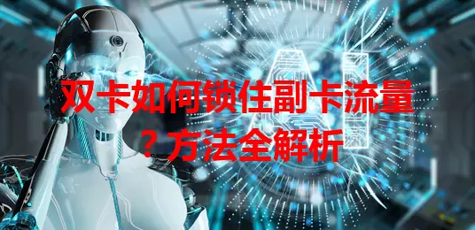 双卡如何锁住副卡流量？方法全解析