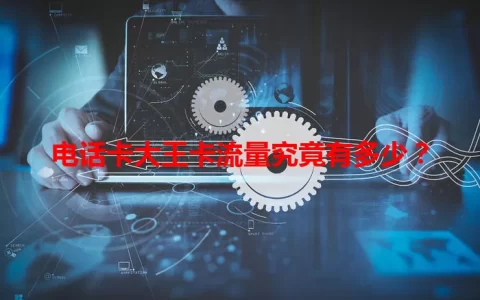 电话卡大王卡流量究竟有多少？