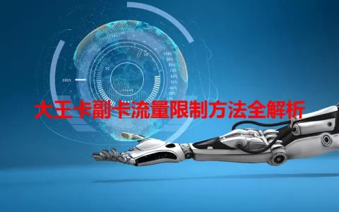 大王卡副卡流量限制方法全解析