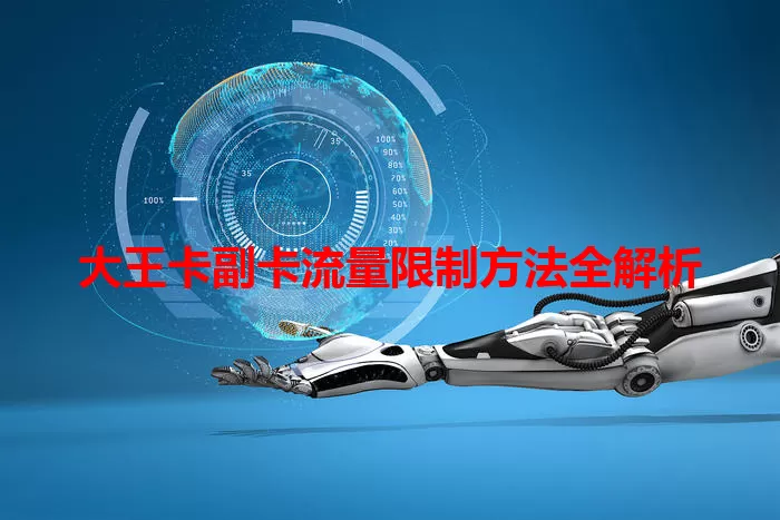 大王卡副卡流量限制方法全解析