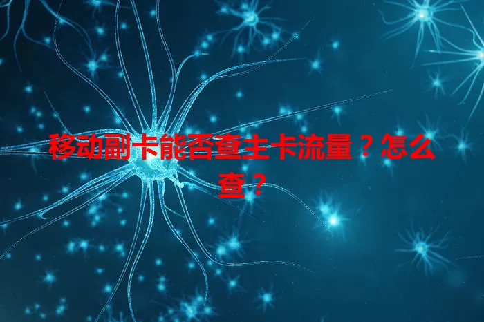 移动副卡能否查主卡流量？怎么查？