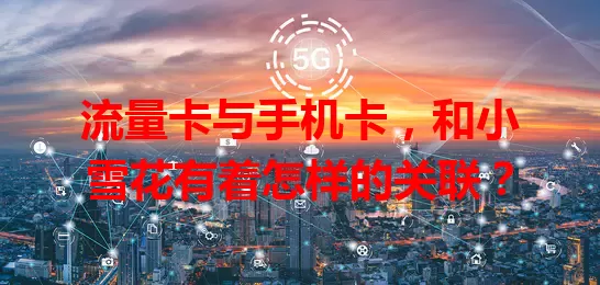 流量卡与手机卡，和小雪花有着怎样的关联？