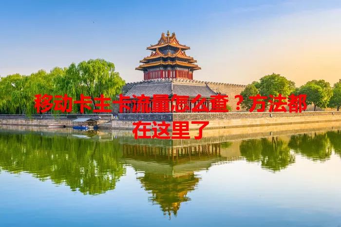 移动卡主卡流量怎么查？方法都在这里了
