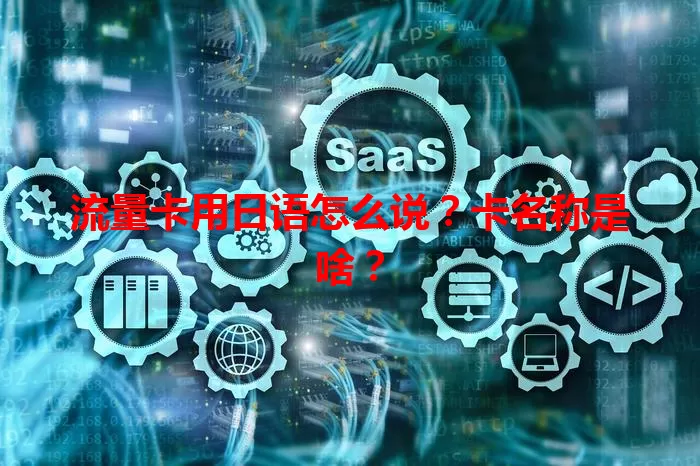 流量卡用日语怎么说？卡名称是啥？