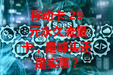 移动卡 29 元永久流量卡，是噱头还是实惠？