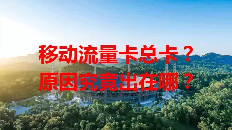 移动流量卡总卡？原因究竟出在哪？