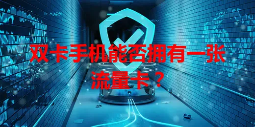 双卡手机能否拥有一张流量卡？