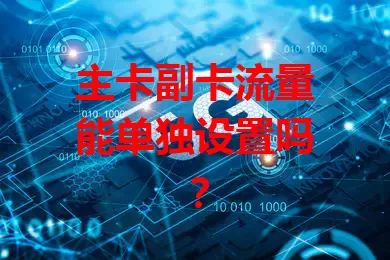 主卡副卡流量能单独设置吗？