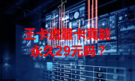 王卡流量卡真能永久29元吗？