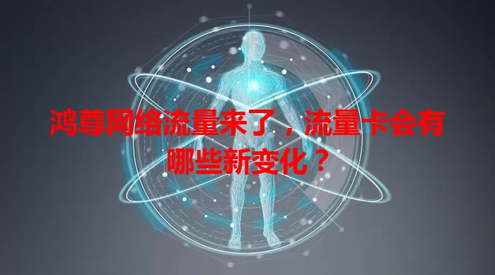 鸿尊网络流量来了，流量卡会有哪些新变化？