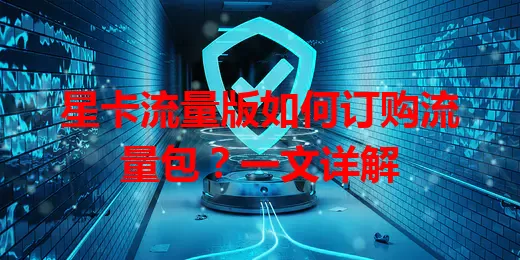 星卡流量版如何订购流量包？一文详解