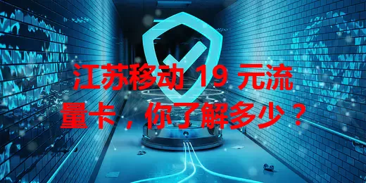 江苏移动 19 元流量卡，你了解多少？