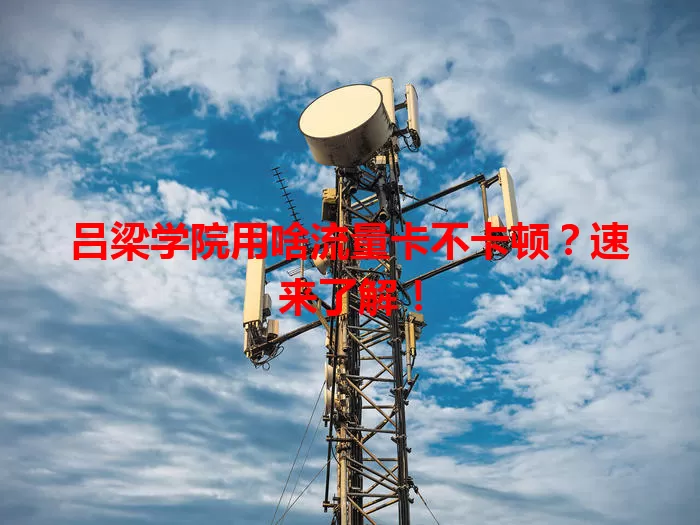 吕梁学院用啥流量卡不卡顿？速来了解！