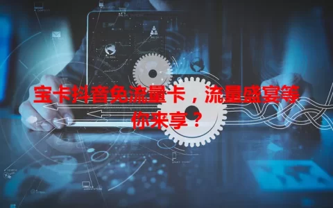 宝卡抖音免流量卡，流量盛宴等你来享？