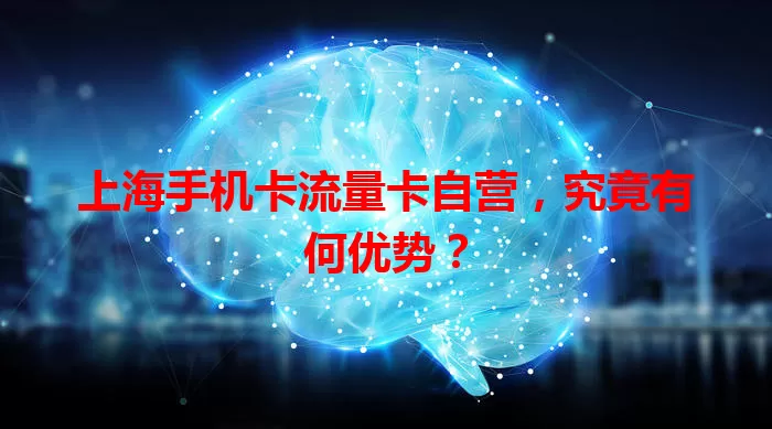 上海手机卡流量卡自营，究竟有何优势？
