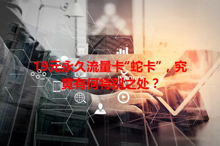 19元永久流量卡“蛇卡”，究竟有何特别之处？