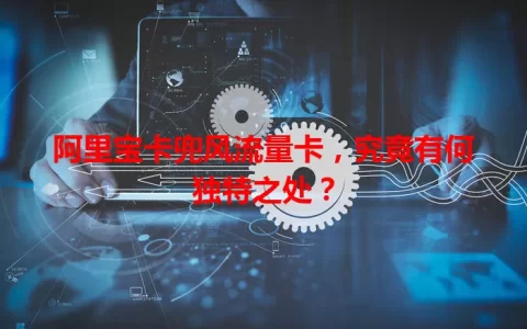 阿里宝卡兜风流量卡，究竟有何独特之处？
