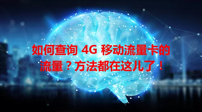 如何查询 4G 移动流量卡的流量？方法都在这儿了！