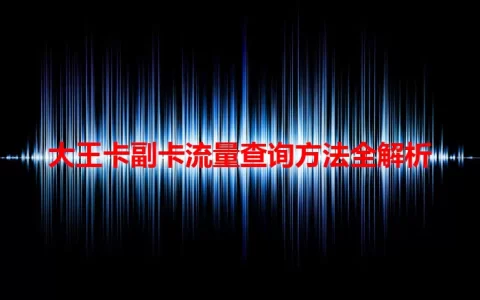大王卡副卡流量查询方法全解析